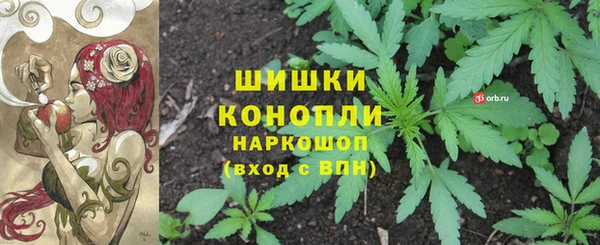 бошки Переславль-Залесский