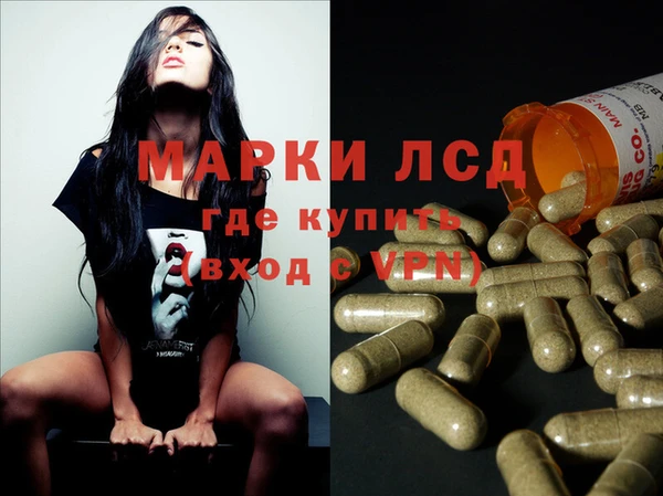 spice Пестово
