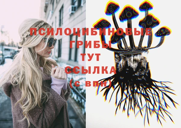 spice Пестово