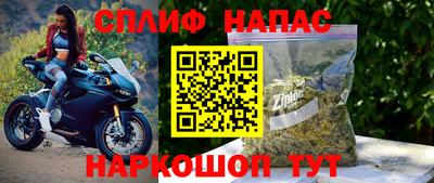 ГАЛЛЮЦИНОГЕННЫЕ ГРИБЫ Камышлов